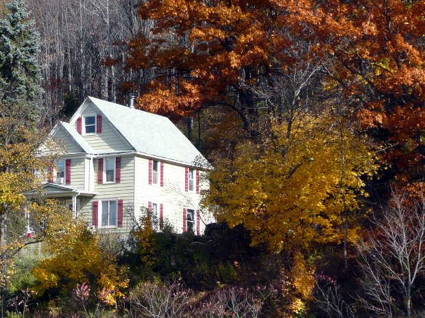 Homestead