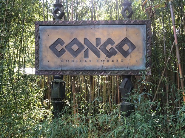 Bronx Zoo